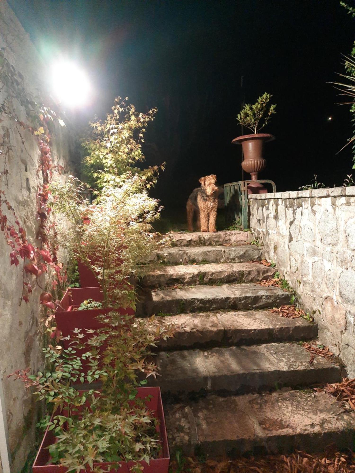 Le Clos Des Soyeux Saint-Victor-sur-Rhins Ngoại thất bức ảnh